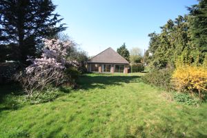 Photo 20- click for photo gallery